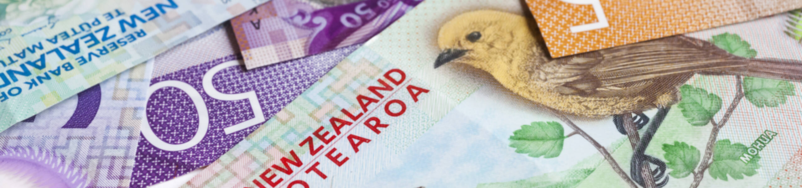 EURNZD ‘’ Bearish Shark ‘’ Formasyon Görünümü