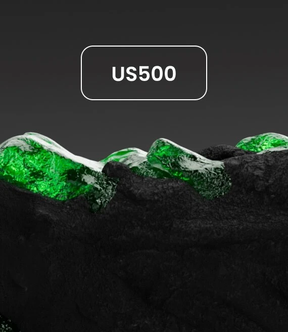 US500.jpeg